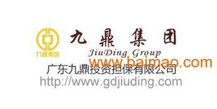 廣東九鼎投資擔(dān)保 專業(yè)投資信息咨詢引領(lǐng)財富未來